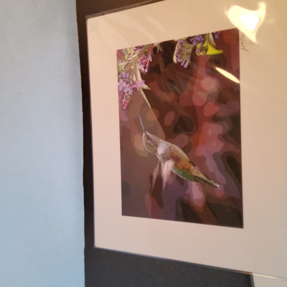 Hummingbird print 1/250 Peter James Maurer . - Picture 2 of 8